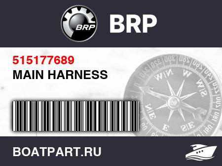 Изображение товара MAIN HARNESS