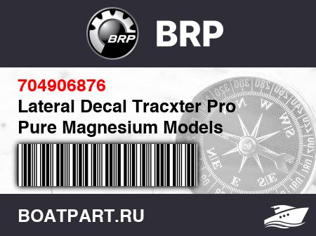 Изображение товара Lateral Decal Tracxter Pro Pure Magnesium Models