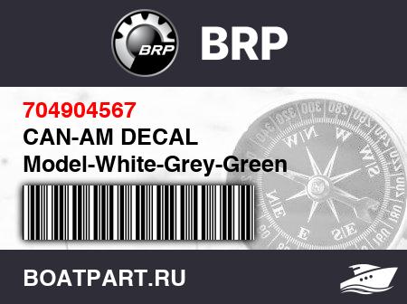 Изображение товара CAN-AM DECAL Model-White-Grey-Green