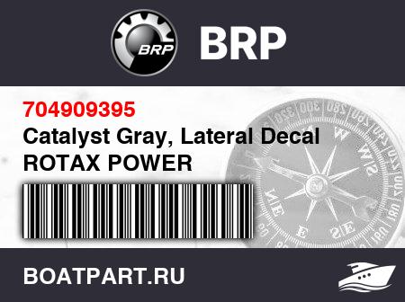Изображение товара Catalyst Gray, Lateral Decal ROTAX POWER