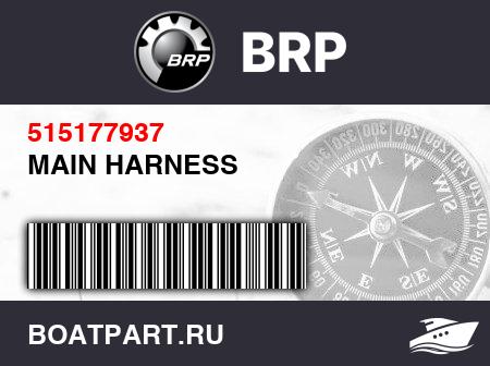 Изображение товара MAIN HARNESS