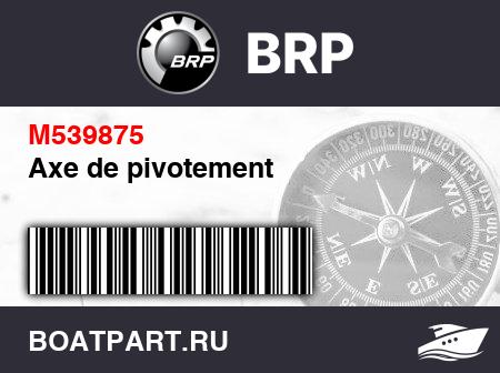 Изображение товара Axe de pivotement