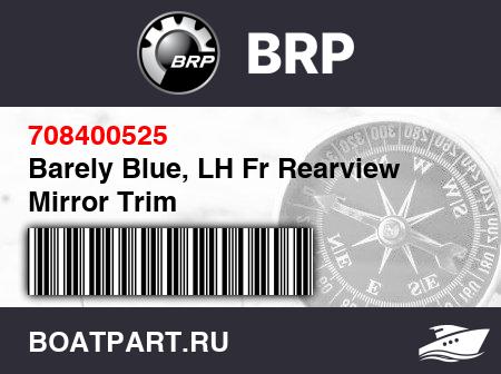 Изображение товара Barely Blue, LH Fr Rearview Mirror Trim