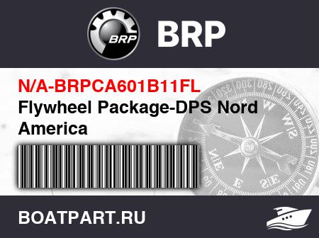 Изображение товара Flywheel Package-DPS Nord America