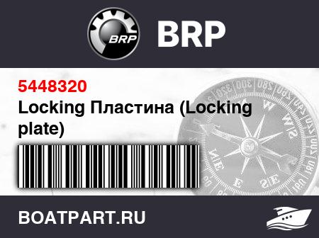 Изображение товара Locking Пластина (Locking plate)