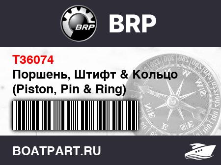 Изображение товара Поршень, Штифт & Кольцо (Piston, Pin & Ring)