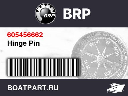 Изображение товара Hinge Pin