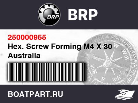Изображение товара Hex. Screw Forming M4 X 30 Australia