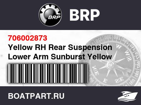 Изображение товара Yellow RH Rear Suspension Lower Arm Sunburst Yellow Models