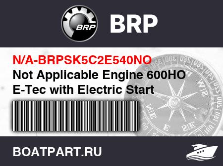 Изображение товара Not Applicable Engine 600HO E-Tec with Electric Start