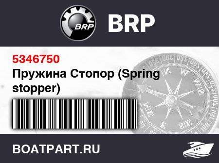 Изображение товара Пружина Стопор (Spring stopper)