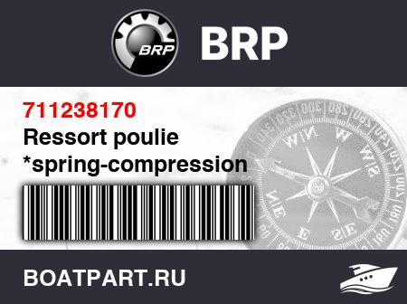 Изображение товара Ressort poulie *spring-compression