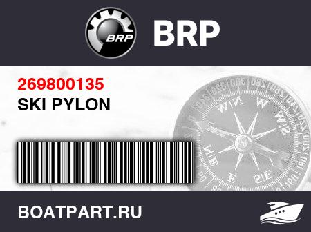Изображение товара SKI PYLON