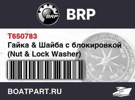 Изображение товара Гайка & Шайба с блокировкой (Nut & Lock Washer)