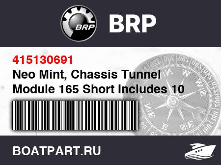 Изображение товара Neo Mint, Chassis Tunnel Module 165 Short Includes 10 to 10b