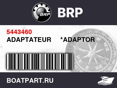 Изображение товара ADAPTATEUR     *ADAPTOR