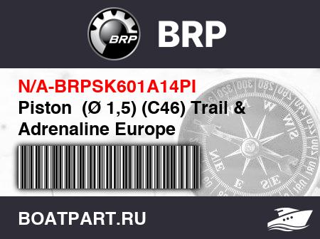 Изображение товара Piston  (Ø 1,5) (C46) Trail & Adrenaline Europe