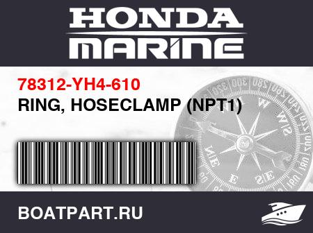 Изображение товара RING, HOSECLAMP (NPT1)