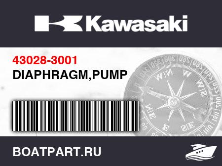 Изображение товара DIAPHRAGM,PUMP