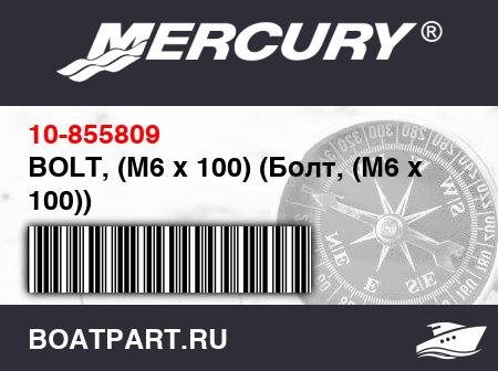 Изображение товара BOLT, (M6 x 100) (Болт, (M6 x 100))