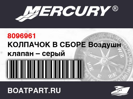 Изображение товара КОЛПАЧОК В СБОРЕ Воздушный клапан – серый