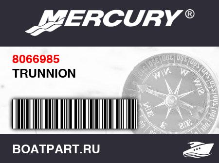 Изображение товара TRUNNION