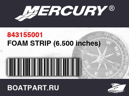 Изображение товара FOAM STRIP (6.500 inches)