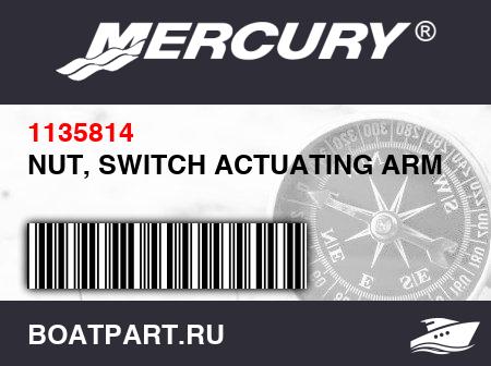 Изображение товара NUT, SWITCH ACTUATING ARM STUD