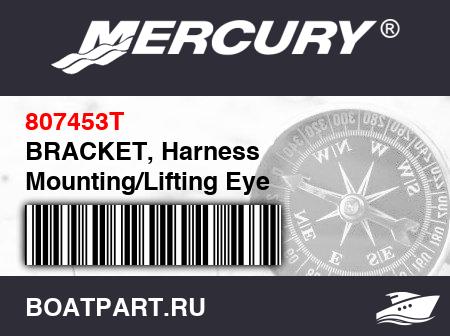 Изображение товара BRACKET, Harness Mounting/Lifting Eye