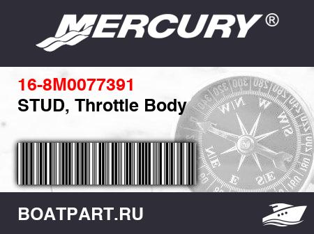 Изображение товара STUD, Throttle Body
