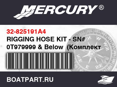 Изображение товара RIGGING HOSE KIT - SN# 0T979999 & Below  (Комплект такелажных шлангов)