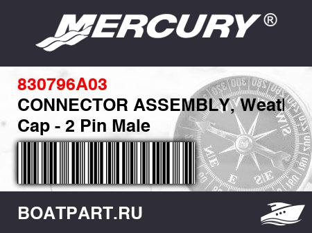Изображение товара CONNECTOR ASSEMBLY, Weather Cap - 2 Pin Male