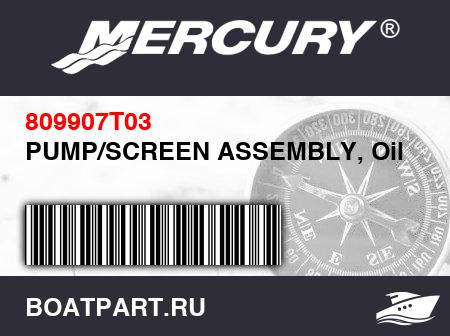 Изображение товара PUMP/SCREEN ASSEMBLY, Oil