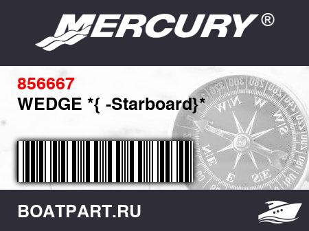 Изображение товара WEDGE *{ -Starboard}*