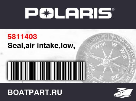 Изображение товара Seal,air intake,low,