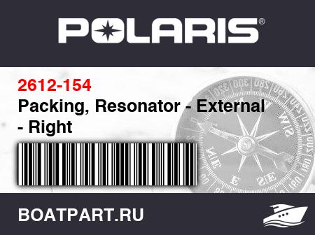 Изображение товара Packing, Resonator - External - Right