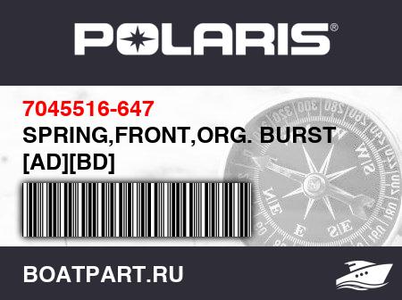 Изображение товара SPRING,FRONT,ORG. BURST [AD][BD]