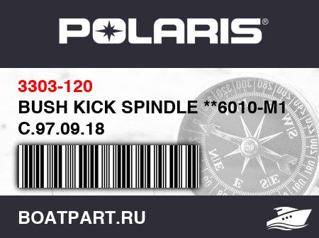 Изображение товара BUSH KICK SPINDLE **6010-M1 C.97.09.18