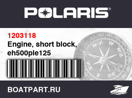 Изображение товара Engine, short block, eh500ple125