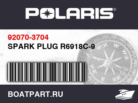 Изображение товара SPARK PLUG R6918C-9