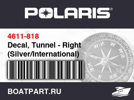 Изображение товара Decal, Tunnel - Right (Silver/International)