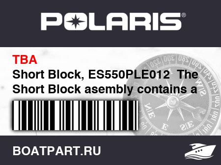 Изображение товара Short Block, ES550PLE012  The Short Block asembly contains a crankcase assembly, cylinder and cylinder head assembly, and a piston &amp; crankshaft assembly.  Prior authorization required for warr