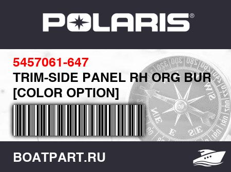 Изображение товара TRIM-SIDE PANEL RH ORG BURST [COLOR OPTION]