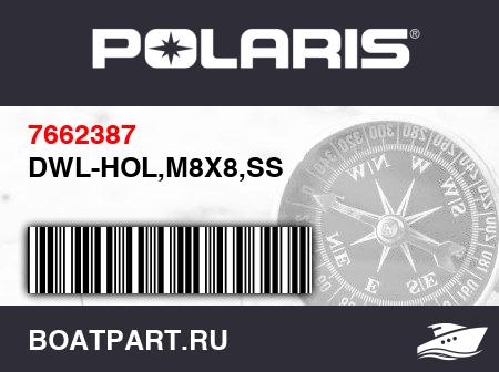 Изображение товара DWL-HOL,M8X8,SS