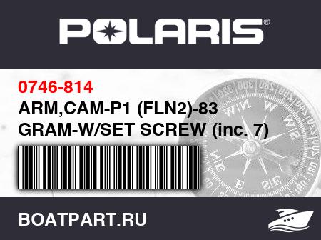 Изображение товара ARM,CAM-P1 (FLN2)-83 GRAM-W/SET SCREW (inc. 7) 3-5,000 ft Alt.
