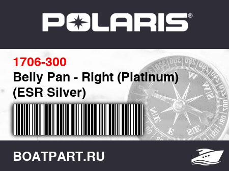 Изображение товара Belly Pan - Right (Platinum) (ESR Silver)