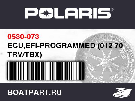 Изображение товара ECU,EFI-PROGRAMMED (012 700 i TRV/TBX)