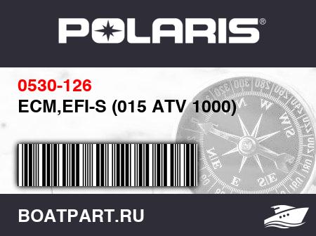 Изображение товара ECM,EFI-S (015 ATV 1000)