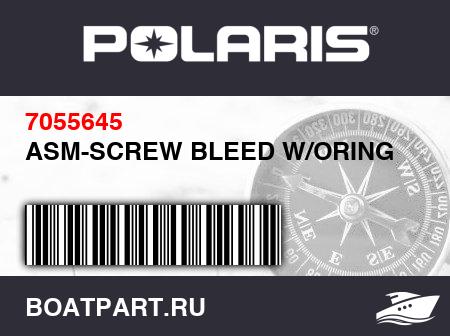 Изображение товара ASM-SCREW BLEED W/ORING