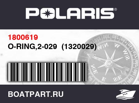 Изображение товара O-RING,2-029  (1320029)